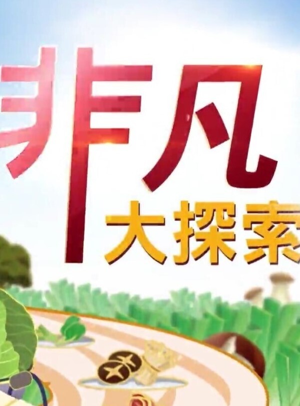 MD-0190-5 我是苏畅 我回来了 - 海滩露出玩弄雪白巨乳 - 驿站